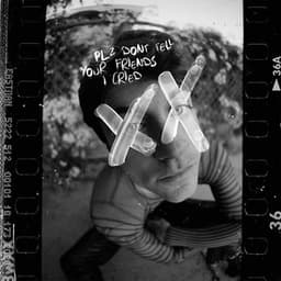 Plz Don't Tell Your Friends I Cried