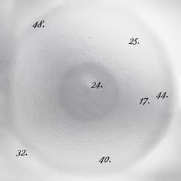 Discipline Through Sound 25