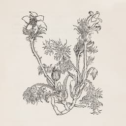 Fresques sur les parois secrètes du crâne