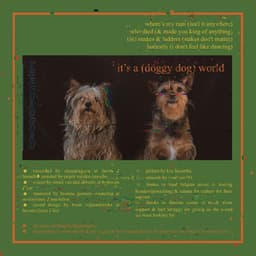 It's a (Doggy Dog) World