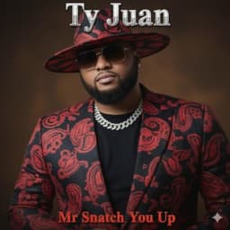 Mr Snatch You Up - Ty Juan