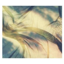 Perennials Fight the Dying - Deadbeat