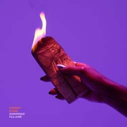 Phoenix Rising - Dominique Fils-Aimé