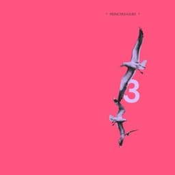 Chrome Loop - Principleasure