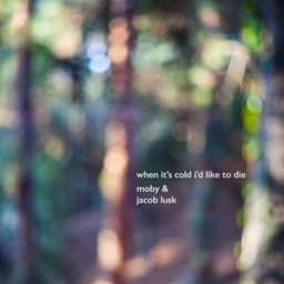 When It's Cold I'd Like to Die - Moby & Jacob Lusk
