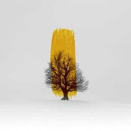 Aurora - Jeune Oji