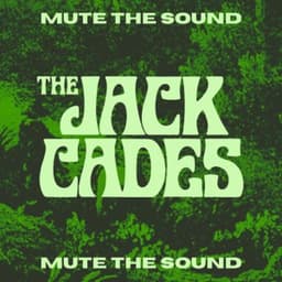 Mute The Sound - The Jack Cades