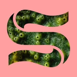 Neptunes - Ela Minus For The Floor Remix - Kaitlyn Aurelia Smith & Joe Goddard & Ela Minus