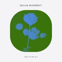 Doin It All 4 U - Radio Edit - Declan McDermott