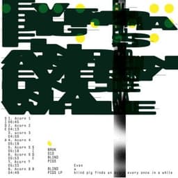 Acorn 2 - Blind Pigs