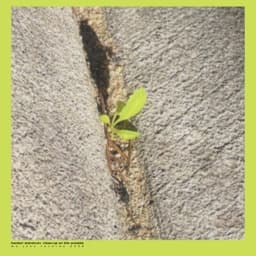 Third Nature - Booker Stardrum & Michael Coleman & Logan Hone & Lester St. Louis