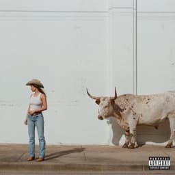 Back On The Wagon - Kacey Musgraves