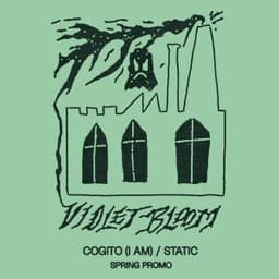 Static - Violet Bloom