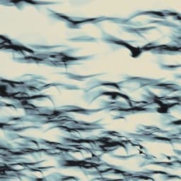 Blowing On Embers - Bellbird