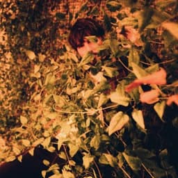 Cotton Babe - Levitation Free