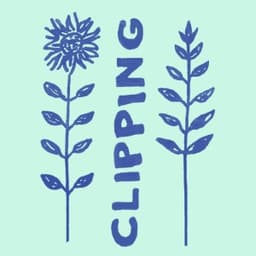 Clipping - Special Friend