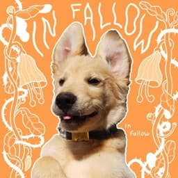 In Fallow - In Fallow