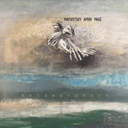 Metamorphose - Amir Amiri & Sarah Pagé & Shawn Mativetsky