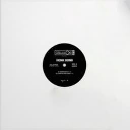 Dissociate (Deep Tissue Dub) - Honk Gong