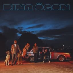Där huden är tunnast - Dina Ögon