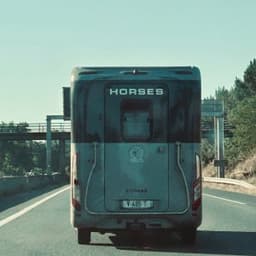Horses - SomElse
