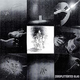 Zersplittertes Glas - Die Verlierer